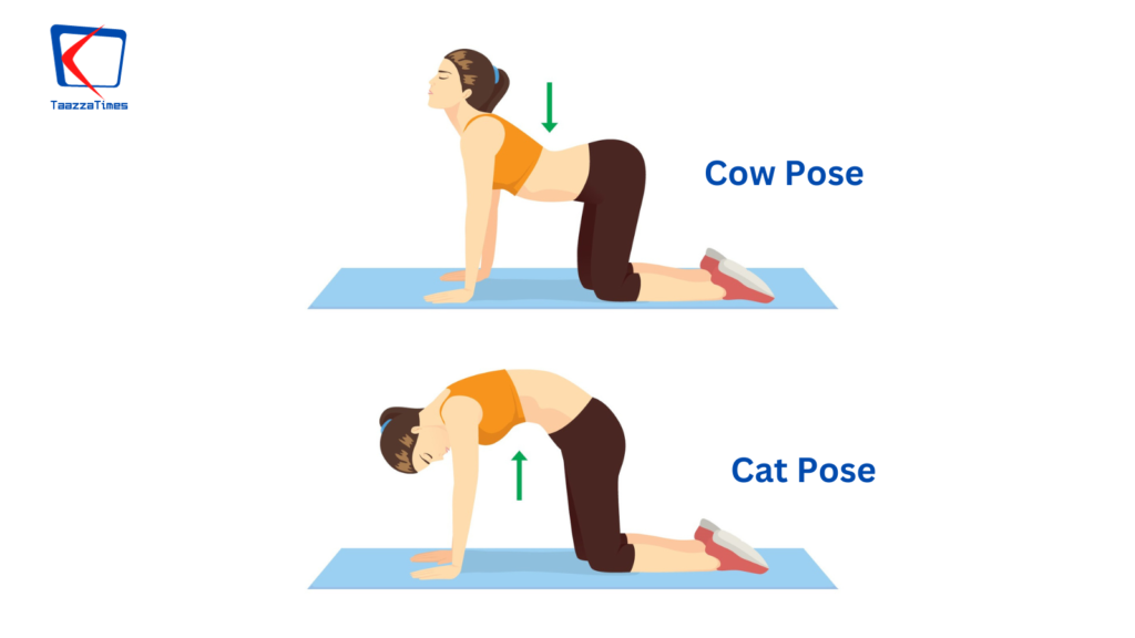 Cat-Cow Pose