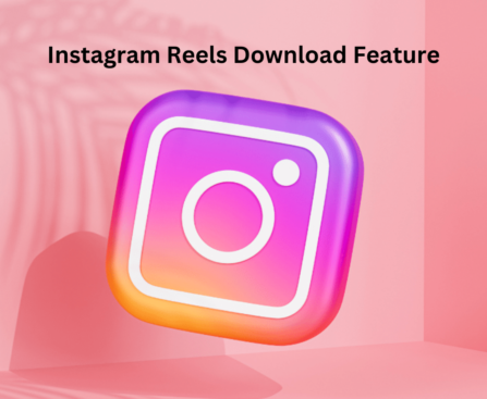 Instagram Reels Download Feature