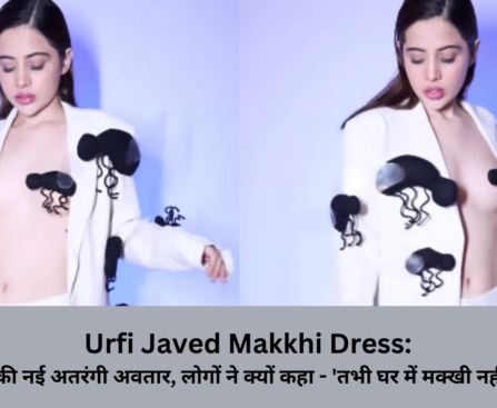 Urfi Javed Makkhi Dress-