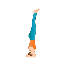 head stand